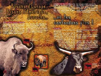 Livret de 20 pages sur les bisons d'Europe