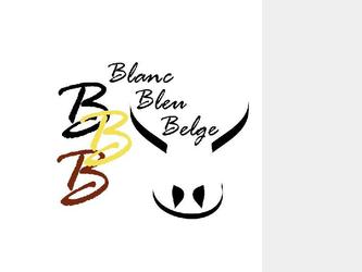 logo pour ambassade belge