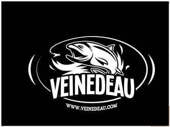 Création du logo pour le magasin « Veinedeau » spécialisé dans la pèche à la mouche.
