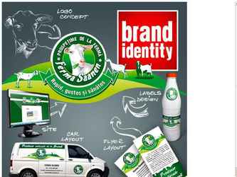 Logo, website, car layout&wrapping, flyer layout&print, labels layout