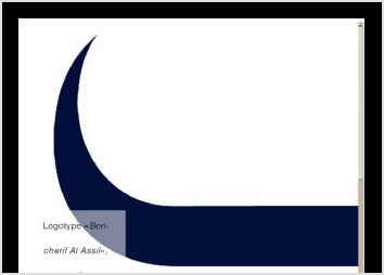 descriptif portfolio dalyjulliot logo