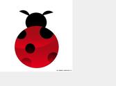 Illustration coccinelle, fictive