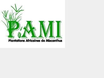 Conception d un logo pour PAMI (Plantations Africaines de Miscantus), une netreprise voluant dans le domaine de la culture des agro-ressources pour la production de bionergies.