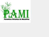 Logo de PAMI (Plantations Africaines de Miscanthus), une entreprise évoluant dans le domaine de la culture des agro-ressources pour la production de bioénergies.