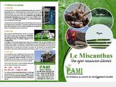 Plaquette commerciale A3 pour PAMI, une entreprise évoluant dans le domaine de la culture des agro-ressources pour la production de bioénergies.