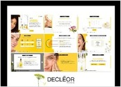 Mini site pour les distributeur de la marque DECLEOR