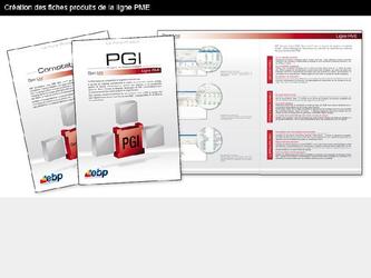 Création des fiches produits de la ligne PME de la société EBP