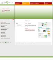 descriptif portfolio grisouris site-internet