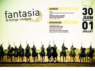 Réalisation du flyer pour la communication du festival Fièvre de cheval 2012.
2 jours avec un spectacle son et lumière.