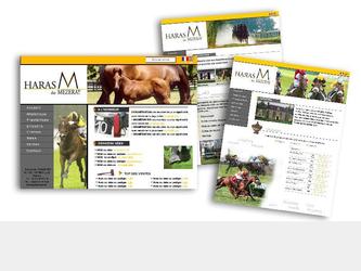 conception graphique d un site Internet pour un Haras.