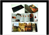 Brochure en accordon pour presentation la marque et la gamme de spiritueux. Art Direction pour les photos. Suivi jusqu  l impression.