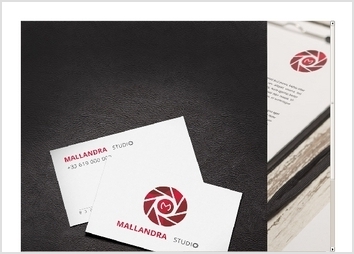 L'objectif du contrat était de créer le logo du studio Mallandra, sur la base du symbole de l'objectif photo.
Parmis les propositions de recherches, le choix s'est porté sur deux modèle, qui furent ensuite combinés et adapté en fonction des format.

Le logo fut donc livré pour 4 formats d'affichage, seul, avec texte, en version courte ou mini selon les documents et supports.