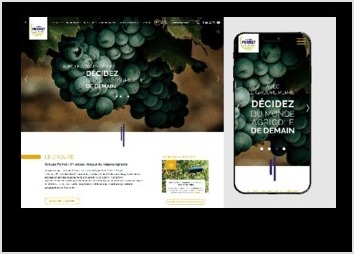 Création d'un site web pour le groupe Perret. Recherche iconographique, conception graphique et implémentation sous XD