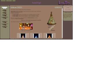 Développement de la boutique, en php, JQuery, MySQL, XML.

Création du logo, des icônes, et de l'interface.

lumitipi.com