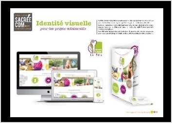 Conception graphique de l'identité visuelle du Pôle Aliments & Santé de La Rochelle avec la déclinaison sur l'ensemble des supports de communication; plaquettes, site Internet, stand salons, carte de visites