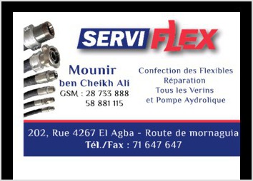 CARTE DE VISITE SERVI FLEX