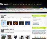 descriptif portfolio salimus site-internet