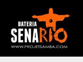 Logo réalisé pour le groupe de musique SENARIO 