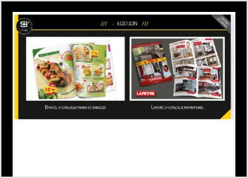 Catalogue de promotion pour les surgelés Davigel et pour Lapeyre