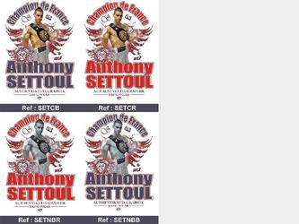 T.shirt réalisé pour le titre de champion de france des poids coq (boxe anglaise)du Clermontois Anthony SETTOUL.
Réalisé sur textile microfibre par impression en sublimation format A3.
Textile (100 pièces) et impression : 799 ht.
Création visuel : 359 ht
