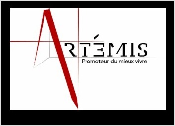 Artémis adopte un nouveau logo pour le besoin d?actualiser son identité visuelle. Plus dynamique, plus moderne mais également plus épuré. La typographie a été complètement créée, les empattements sont rectangulaire faisant penser à la forme d?une brique, d?une pierre mais également à solidité, aux fondations.