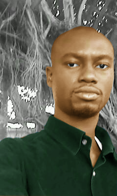 Fabrice Amour Désiré LIGUEU