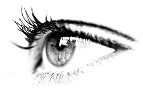 web.design.mada@gmail.com