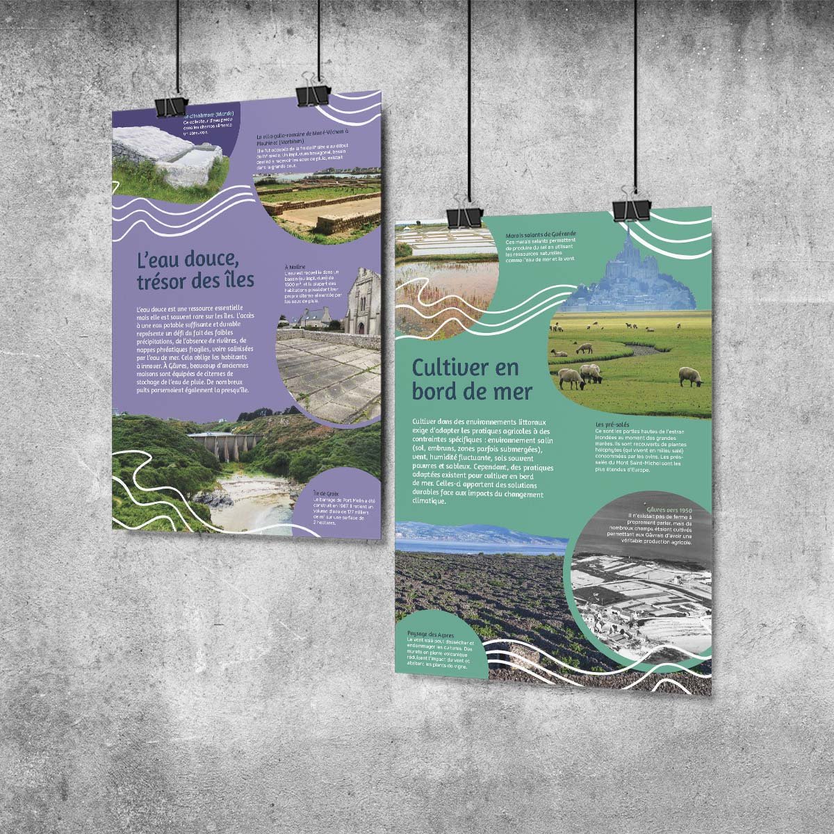 Exposition "Vivre au bord de l'eau"